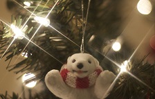 christmas happy bear